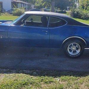 Meet your Posher, Timothy